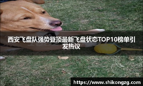 西安飞盘队强势登顶最新飞盘状态TOP10榜单引发热议